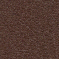 brown-2341.jpg